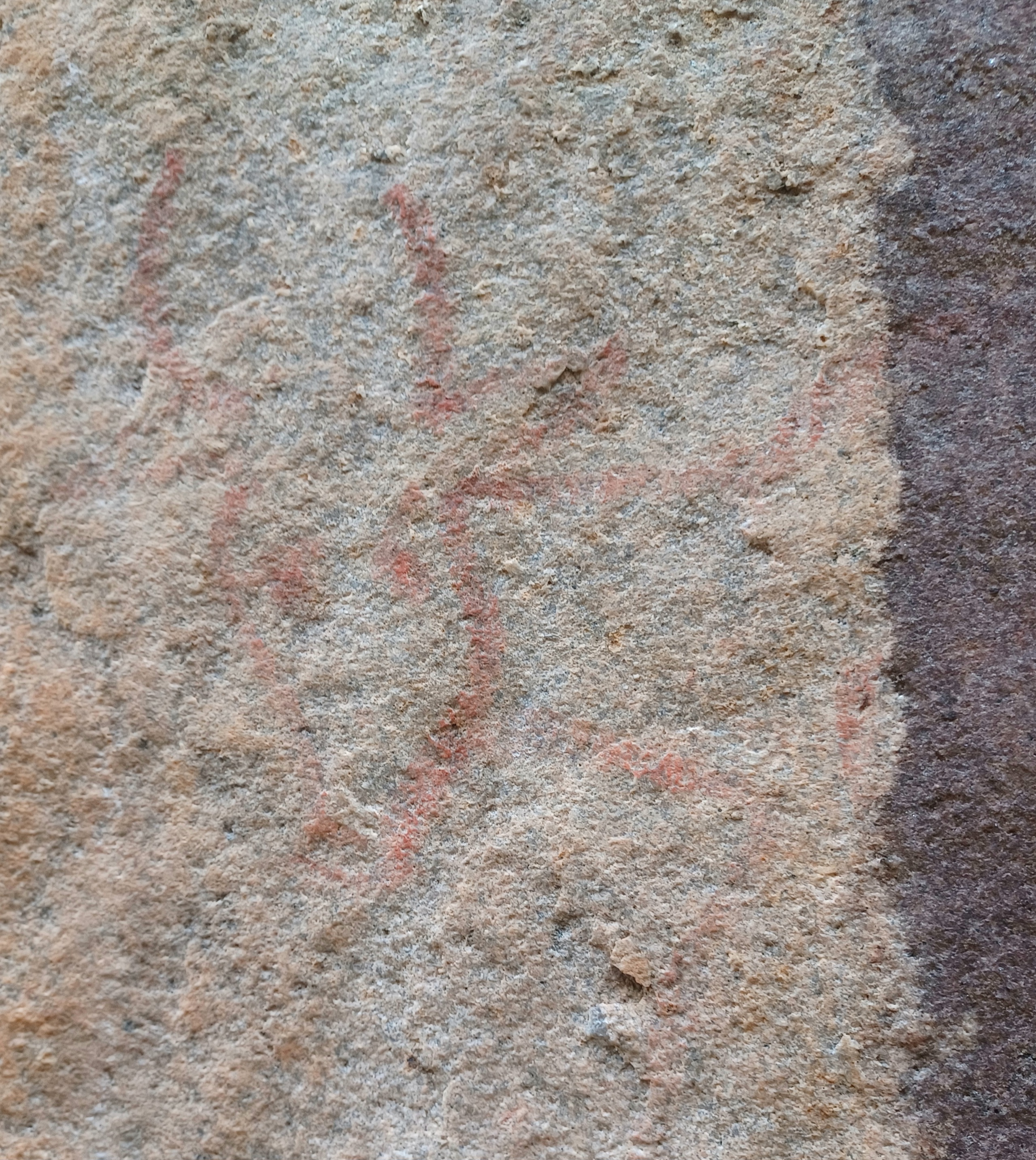 Bull arriving in cave